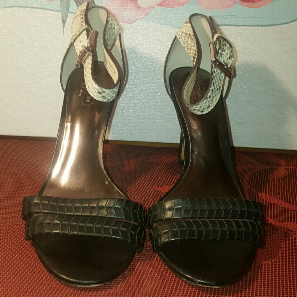 Coach Hally Snakeskin Style Heels
